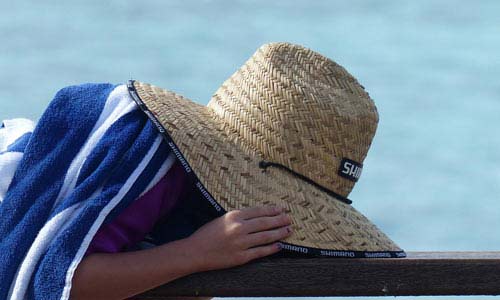 免费ddos在线攻击